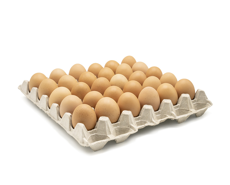 Oeufs des Prés eieren 6x30st bio M/L
